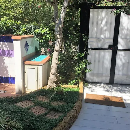 Bed & Breakfast La Culla Del Mare Ascea